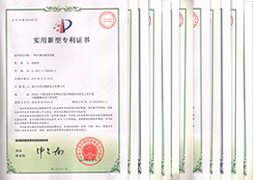 國家實(shí)用新型專利12項